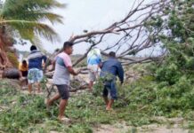 Axa and government design parametric insurance to face climate change