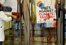 Thanks to greenwashing, global warming could reach 2.6 °C
