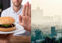 Just two hamburgers a week? Study says that will save the world