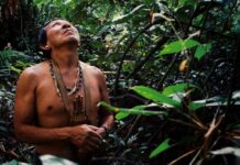 The Amazon: the forest that worries everyone, except Brazilians