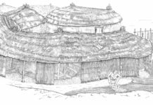 We were able to start breeding animals 2000 years earlier than previously thought
